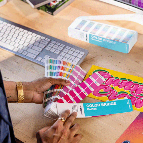 Color Bridge Guide Set Coated & Uncoated