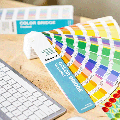 Color Bridge Guide Set Coated & Uncoated
